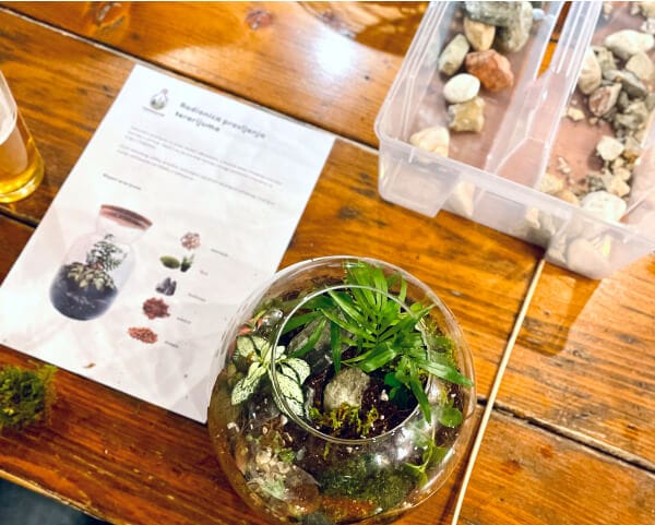 Privatne Radionice Pravljenja Biljnih Terarijuma u Beogradu za Rođendane i Proslave - Terrador terrador feature 1