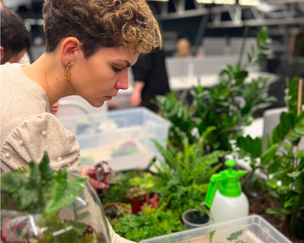 biljni terarijum - terrador teambuilding 4 - Terrador