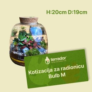 Kotizacija za radionicu – Bulb M