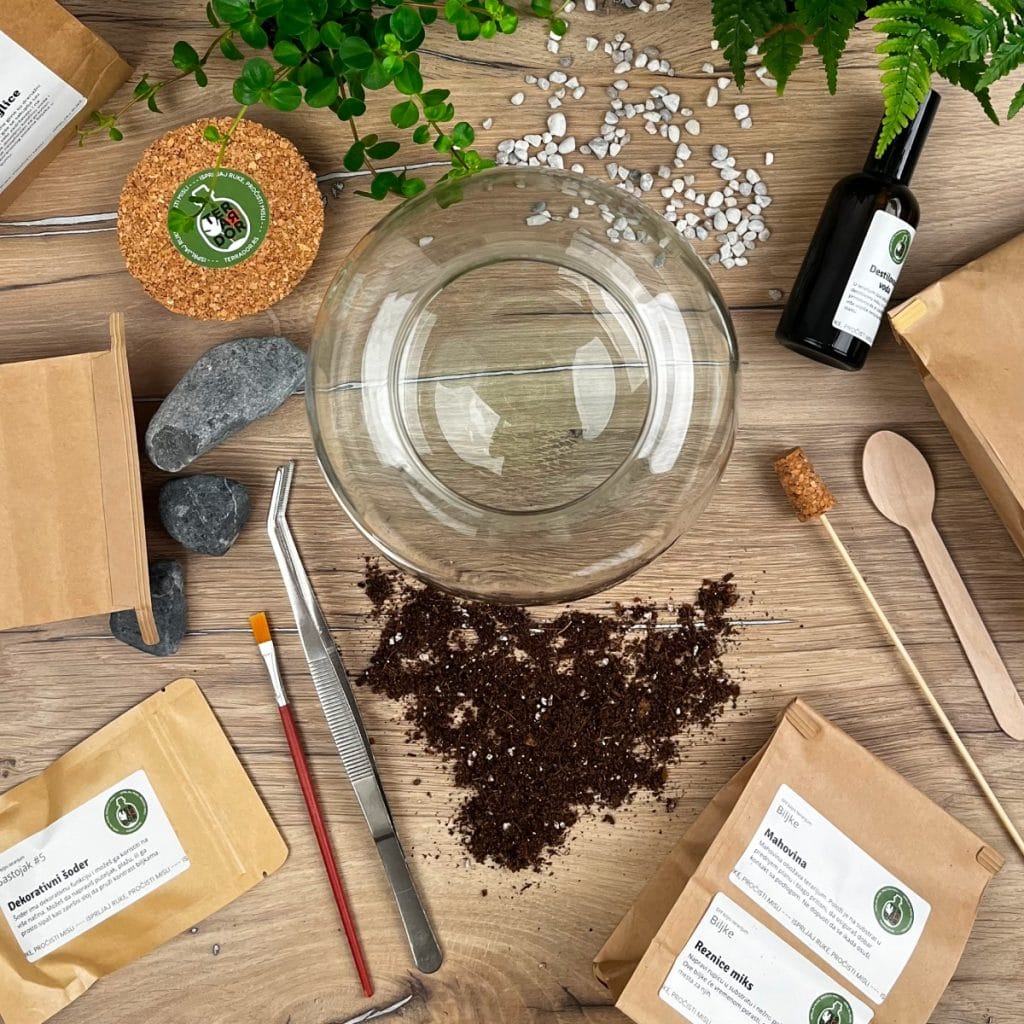 biljni terarijum - terrador DIY 3 - Terrador