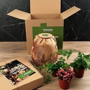 DIY biljni terarijum