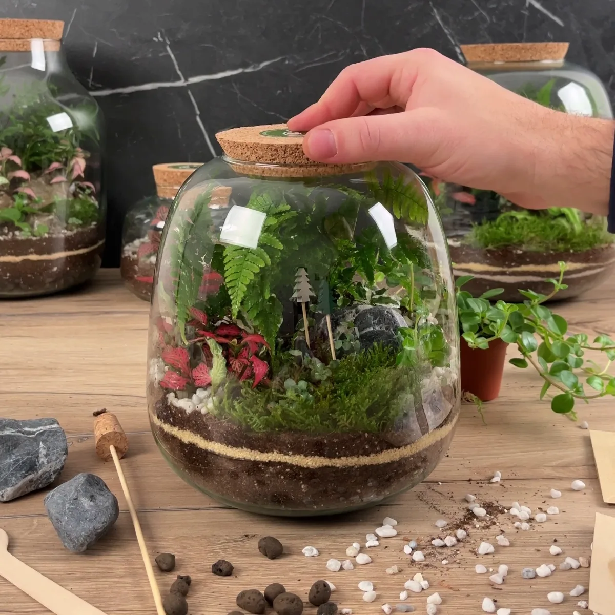 Uradi sam biljni terarijum DIY komplet - Slika 5