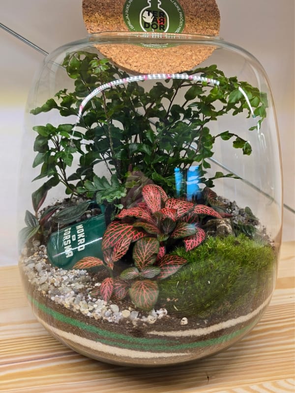 Ekološki Unikatni Poslovni Pokloni u Skladu sa ESG - Terrador Upotrebili smo kamen sa Mokre Gore