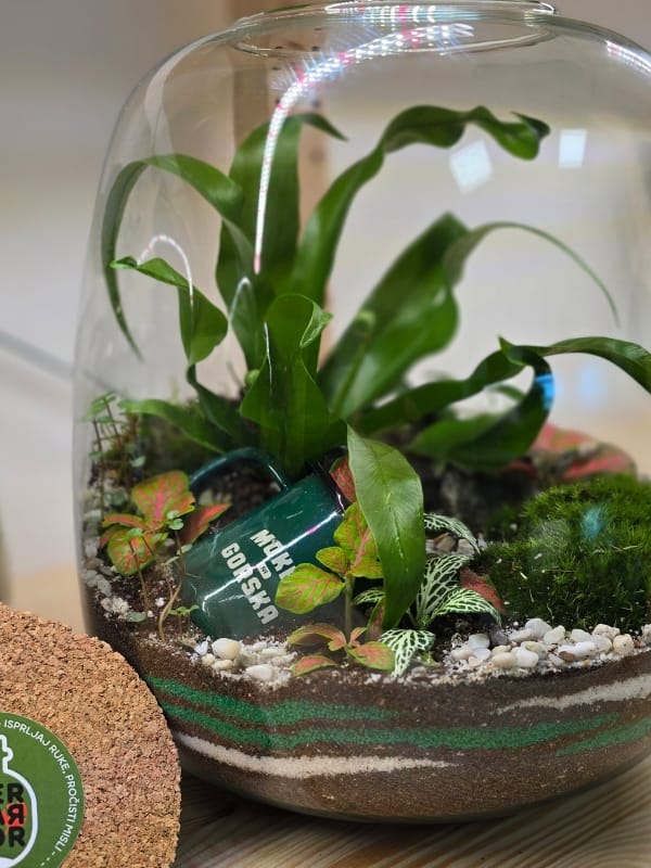 Ekološki Unikatni Poslovni Pokloni u Skladu sa ESG - Terrador Dekorativne linije u bojama brenda