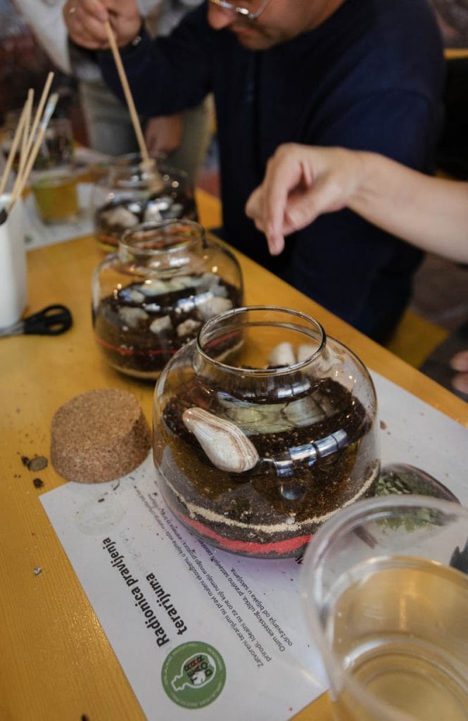 FedEx teambuilding: izveštaj sa terena - Terrador biljni terarijum - FedEx Terrador teambuilding 12 - Terrador