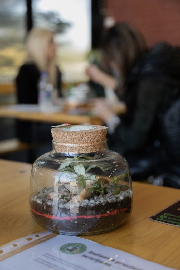 FedEx teambuilding: izveštaj sa terena - Terrador biljni terarijum - FedEx Terrador teambuilding 13 - Terrador