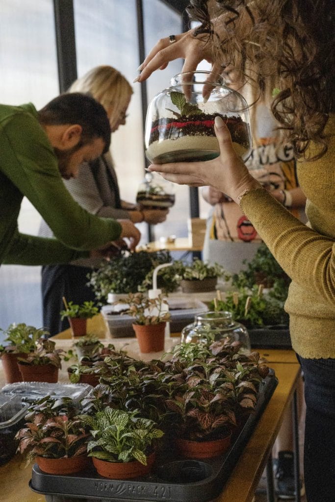FedEx teambuilding: izveštaj sa terena - Terrador biljni terarijum - FedEx Terrador teambuilding 18 - Terrador