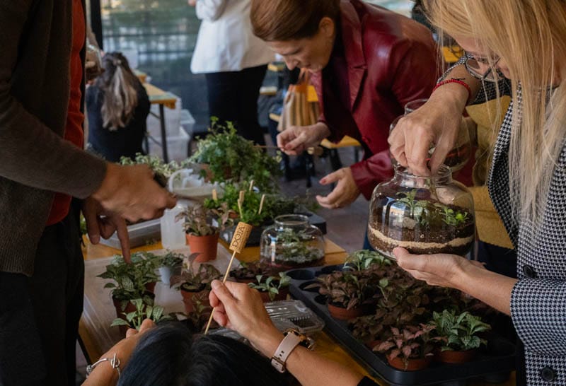 FedEx teambuilding: izveštaj sa terena - Terrador biljni terarijum - FedEx Terrador teambuilding 19 - Terrador