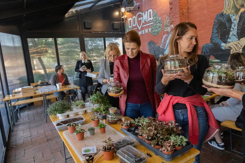 FedEx teambuilding: izveštaj sa terena - Terrador biljni terarijum - FedEx Terrador teambuilding 2 - Terrador