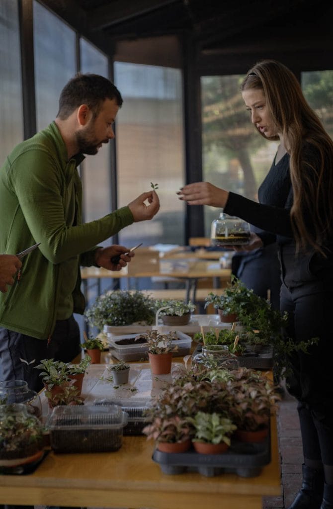 FedEx teambuilding: izveštaj sa terena - Terrador biljni terarijum - FedEx Terrador teambuilding 23 - Terrador