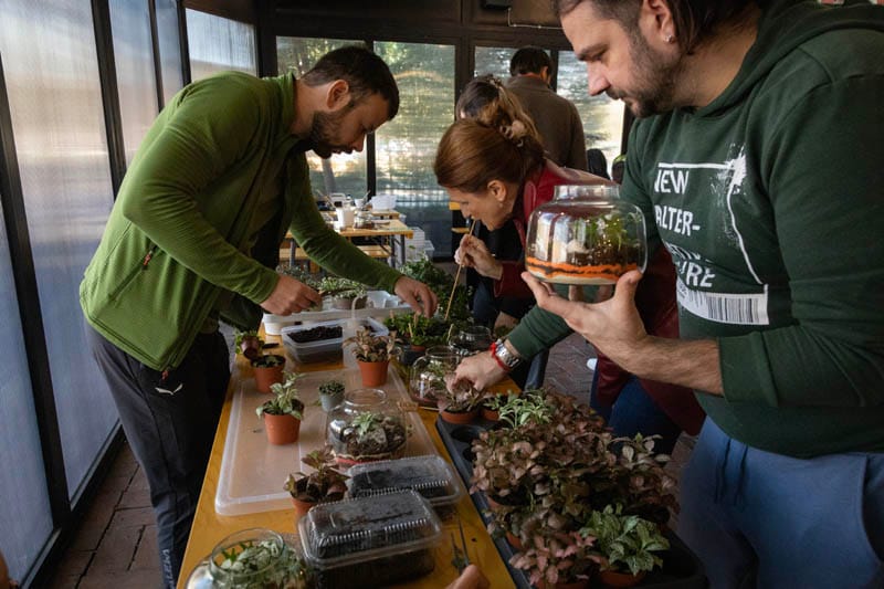 FedEx teambuilding: izveštaj sa terena - Terrador biljni terarijum - FedEx Terrador teambuilding 27 - Terrador