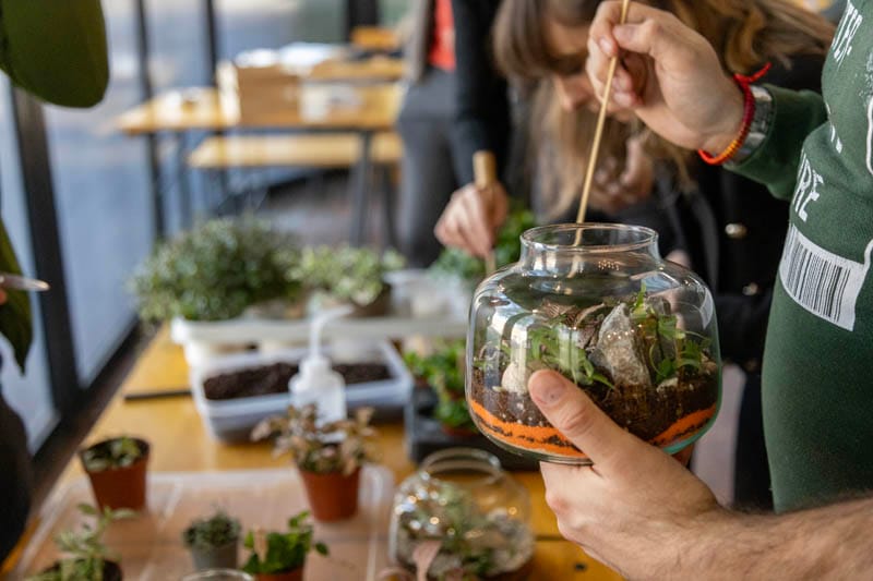 FedEx teambuilding: izveštaj sa terena - Terrador biljni terarijum - FedEx Terrador teambuilding 28 - Terrador