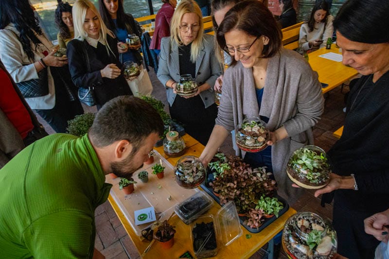 FedEx teambuilding: izveštaj sa terena - Terrador biljni terarijum - FedEx Terrador teambuilding 3 - Terrador