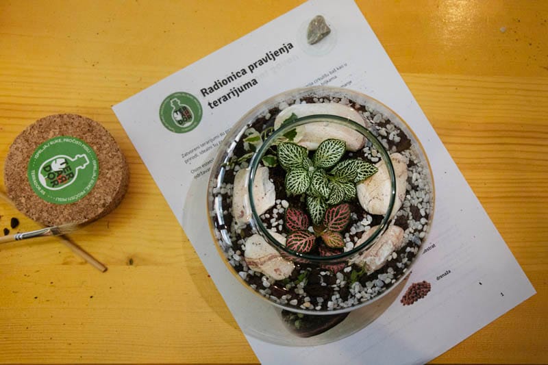 FedEx teambuilding: izveštaj sa terena - Terrador biljni terarijum - FedEx Terrador teambuilding 32 - Terrador