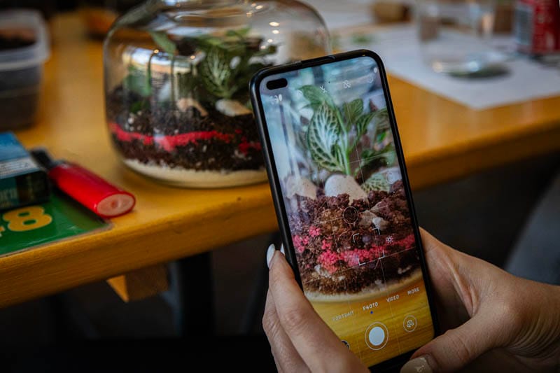 FedEx teambuilding: izveštaj sa terena - Terrador biljni terarijum - FedEx Terrador teambuilding 34 - Terrador