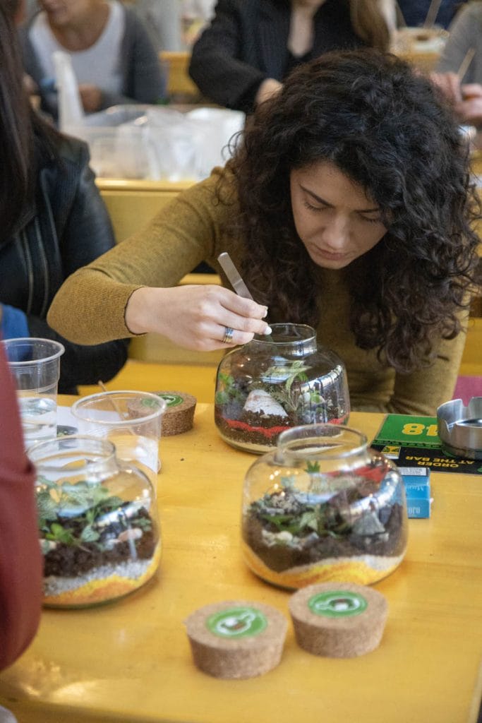 FedEx teambuilding: izveštaj sa terena - Terrador biljni terarijum - FedEx Terrador teambuilding 37 - Terrador