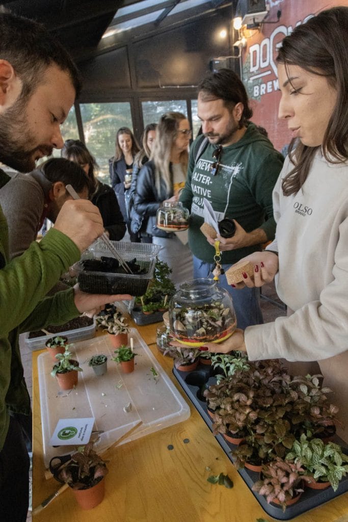 FedEx teambuilding: izveštaj sa terena - Terrador biljni terarijum - FedEx Terrador teambuilding 4 - Terrador