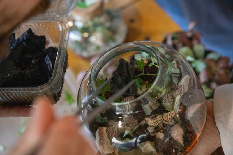 FedEx teambuilding: izveštaj sa terena - Terrador biljni terarijum - FedEx Terrador teambuilding 5 - Terrador