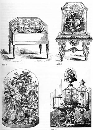 biljni terarijum - Wardian cases - Terrador