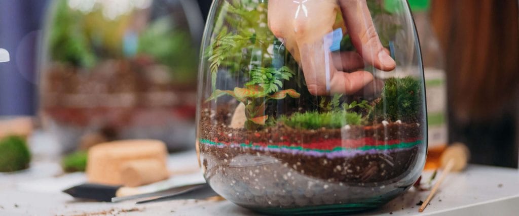 Yandex teambuilding Terrador featured image