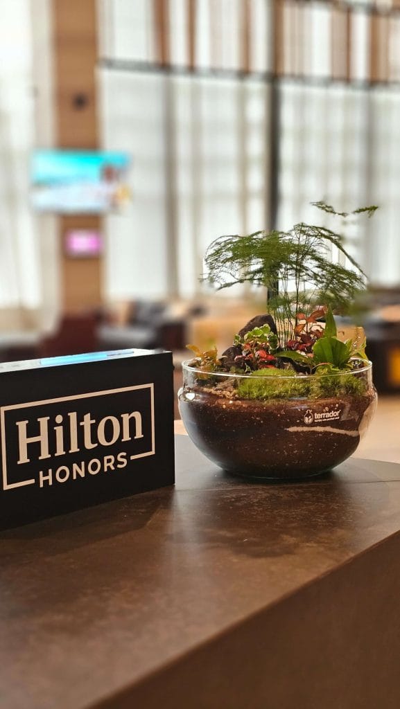 biljni terarijum - Hilton Belgrade Terrador Earth Day 2025 6 - Terrador