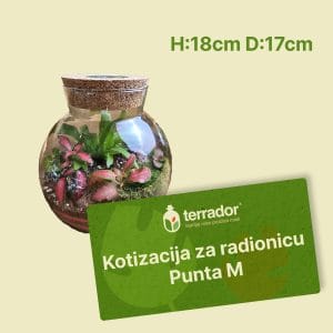 Kotizacija za radionicu – Punta M
