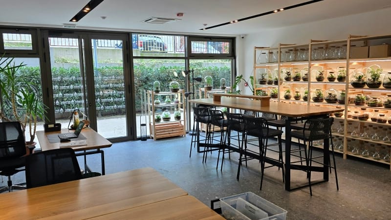 Privatne Radionice Pravljenja Biljnih Terarijuma u Beogradu za Rođendane i Proslave - Terrador biljni terarijum - Terrador studio 1 - Terrador