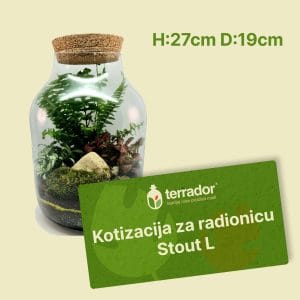 Kotizacija za radionicu – Stout L