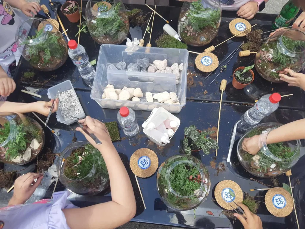 biljni terarijum - Terrador NONA Sabac 1 - Terrador