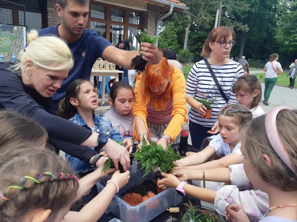 biljni terarijum - Terrador NONA Sabac 10 - Terrador