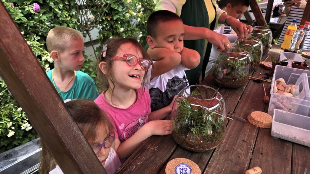 biljni terarijum - Terrador NONA Sabac 4 - Terrador