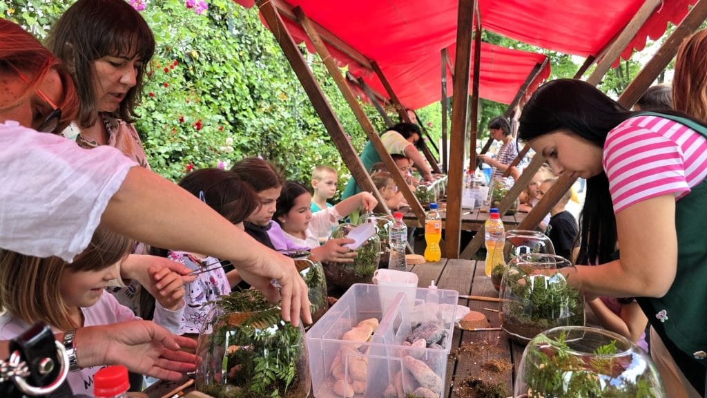 biljni terarijum - Terrador NONA Sabac 5 - Terrador