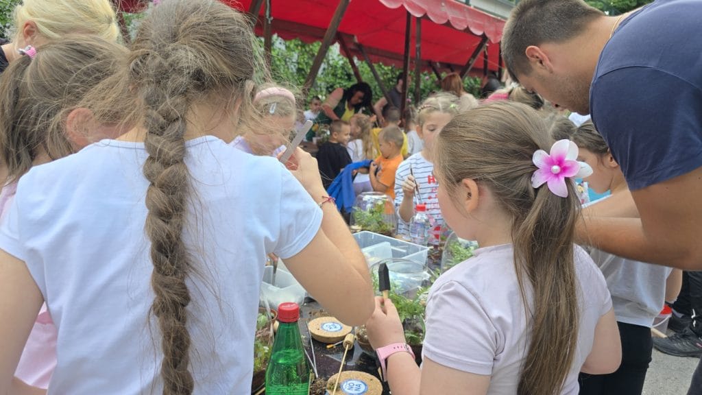 biljni terarijum - Terrador NONA Sabac 8 - Terrador