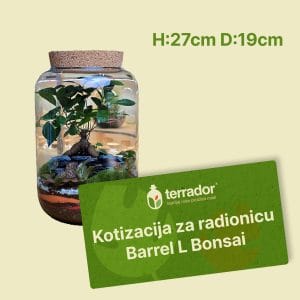 Kotizacija za radionicu – Barrel L Bonsai
