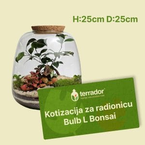 Kotizacija za radionicu – Bulb L Bonsai