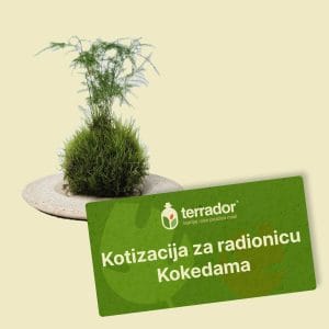 Kotizacija za radionicu – Kokedama