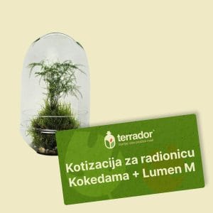 Kotizacija za radionicu – Kokedama + Lumen M