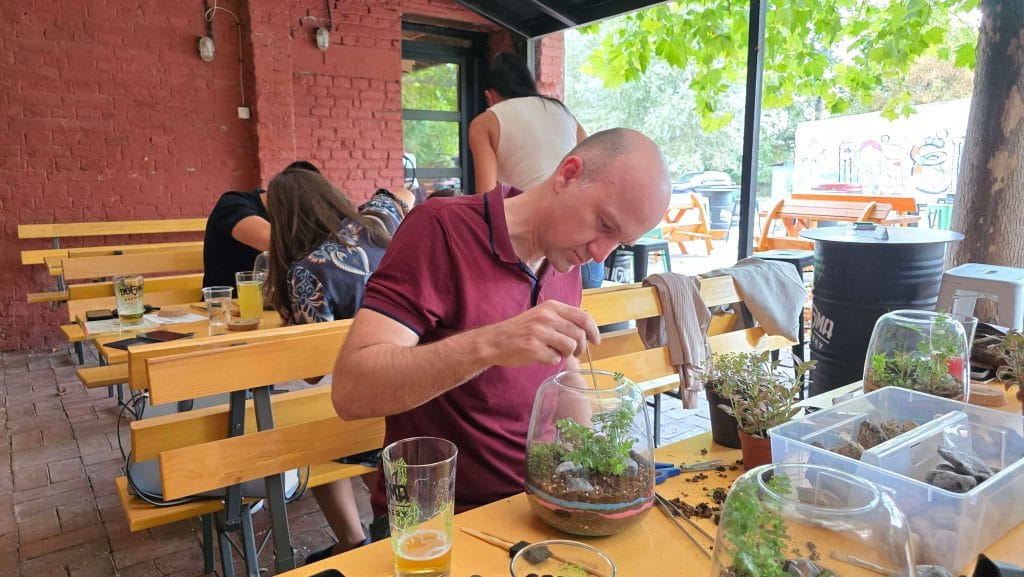 biljni terarijum - Terrador Generali team building 1 - Terrador