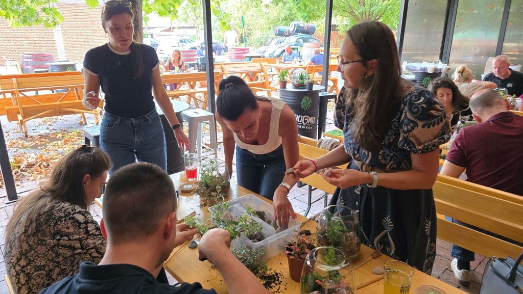 biljni terarijum - Terrador Generali team building 2 - Terrador