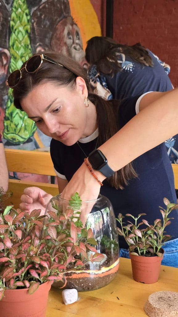 biljni terarijum - Terrador Generali team building 7 - Terrador