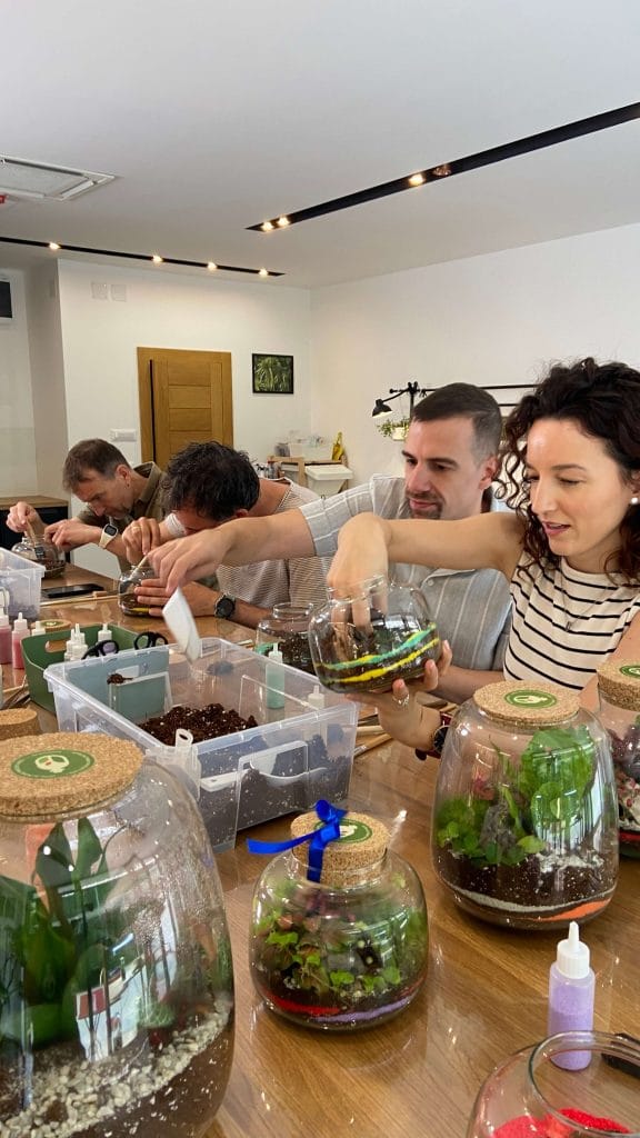 biljni terarijum - IMG E5954 - Terrador