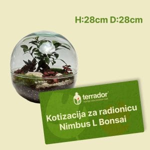 Kotizacija za radionicu – Nimbus L Bonsai