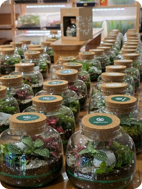 Ekološki Unikatni Poslovni Pokloni u Skladu sa ESG - Terrador Gotovo 200 terarijuma sa uklopljenim brend elementima